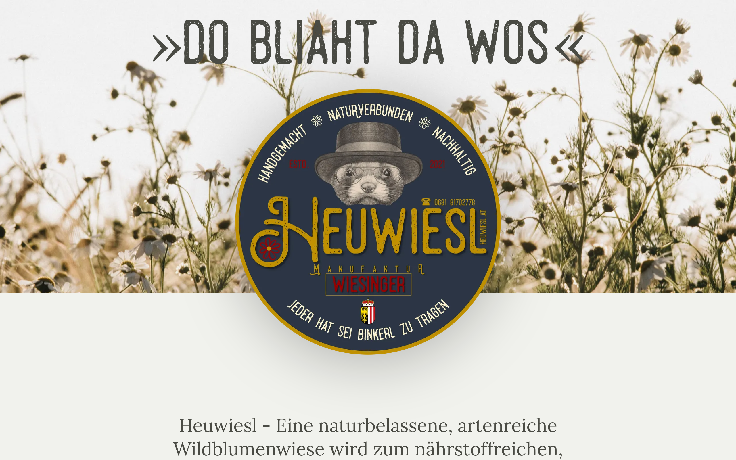 Heuwiesl Website Preview